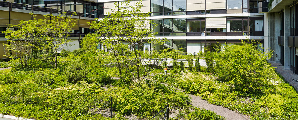 Schmid Landschaftsarchitekten Zürich Höfe Irchel Universität Campus  Hof Innenhof Blättergarten Blätter Blattgarten Moss Feucht Grün